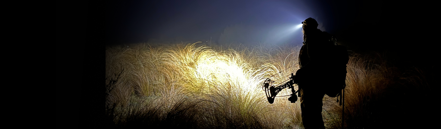 Your Guide to Reliable Lighting: Why We Choose Fenix Headlamps