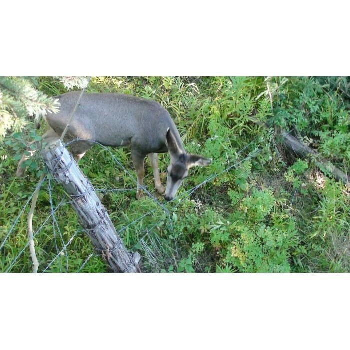 NoseJammer Field Spray 8oz