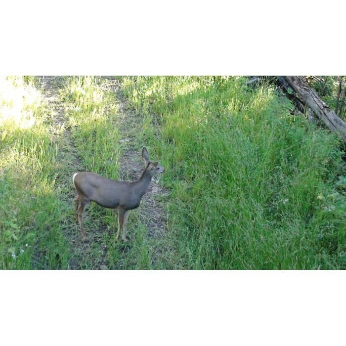 NoseJammer Field Spray 8oz