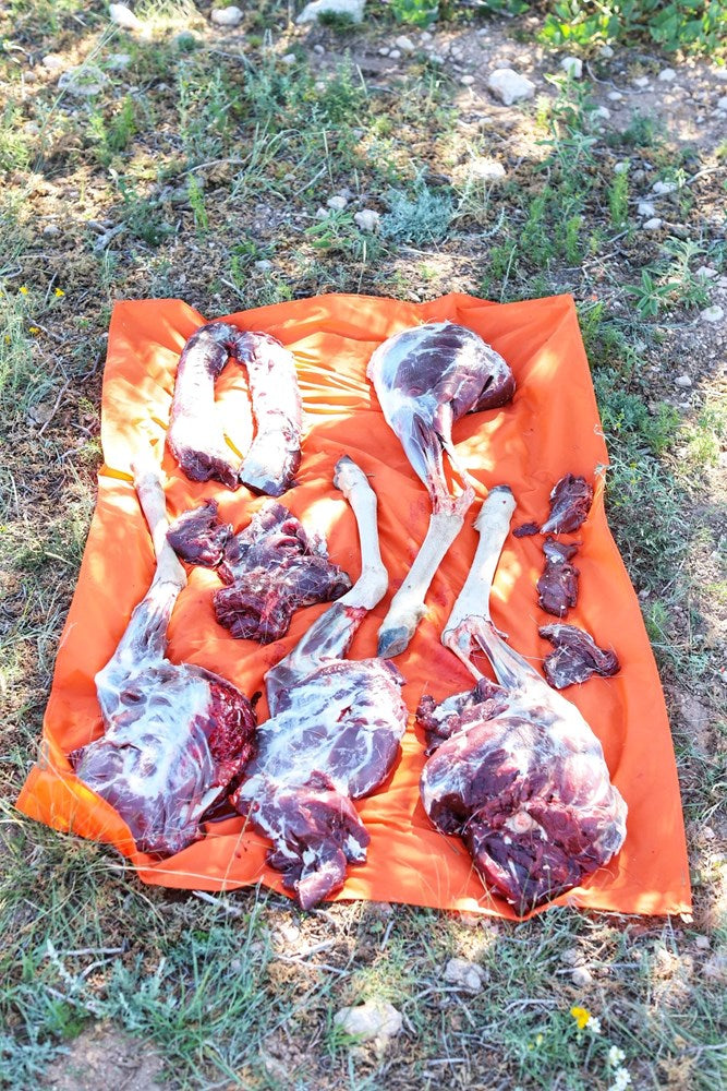 Marsupial Meat Tarp