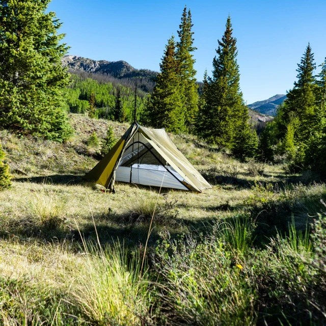 Seek Outside Guardian Nest